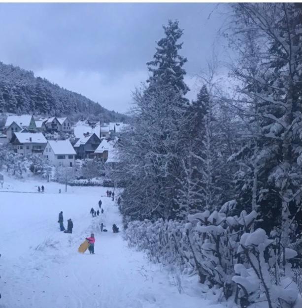 Ferienwohnung Am Tor Zum Thueringer Wald Plaue  Eksteriør bilde